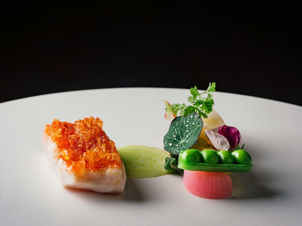 Addison By William Bradley Photos 2